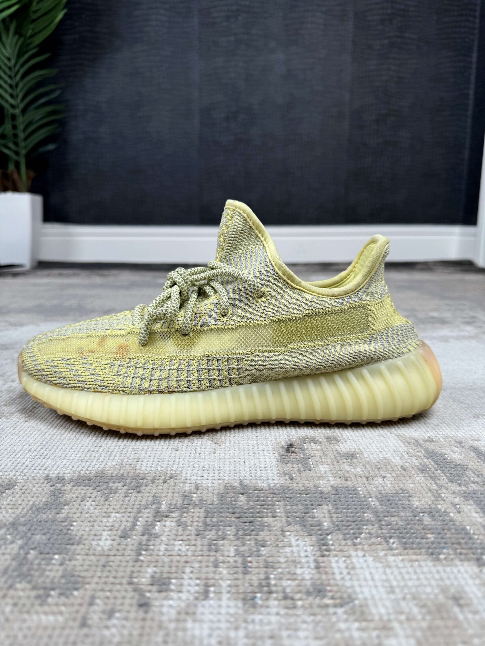 Yeezy 350 V2 Antlia Yeezy