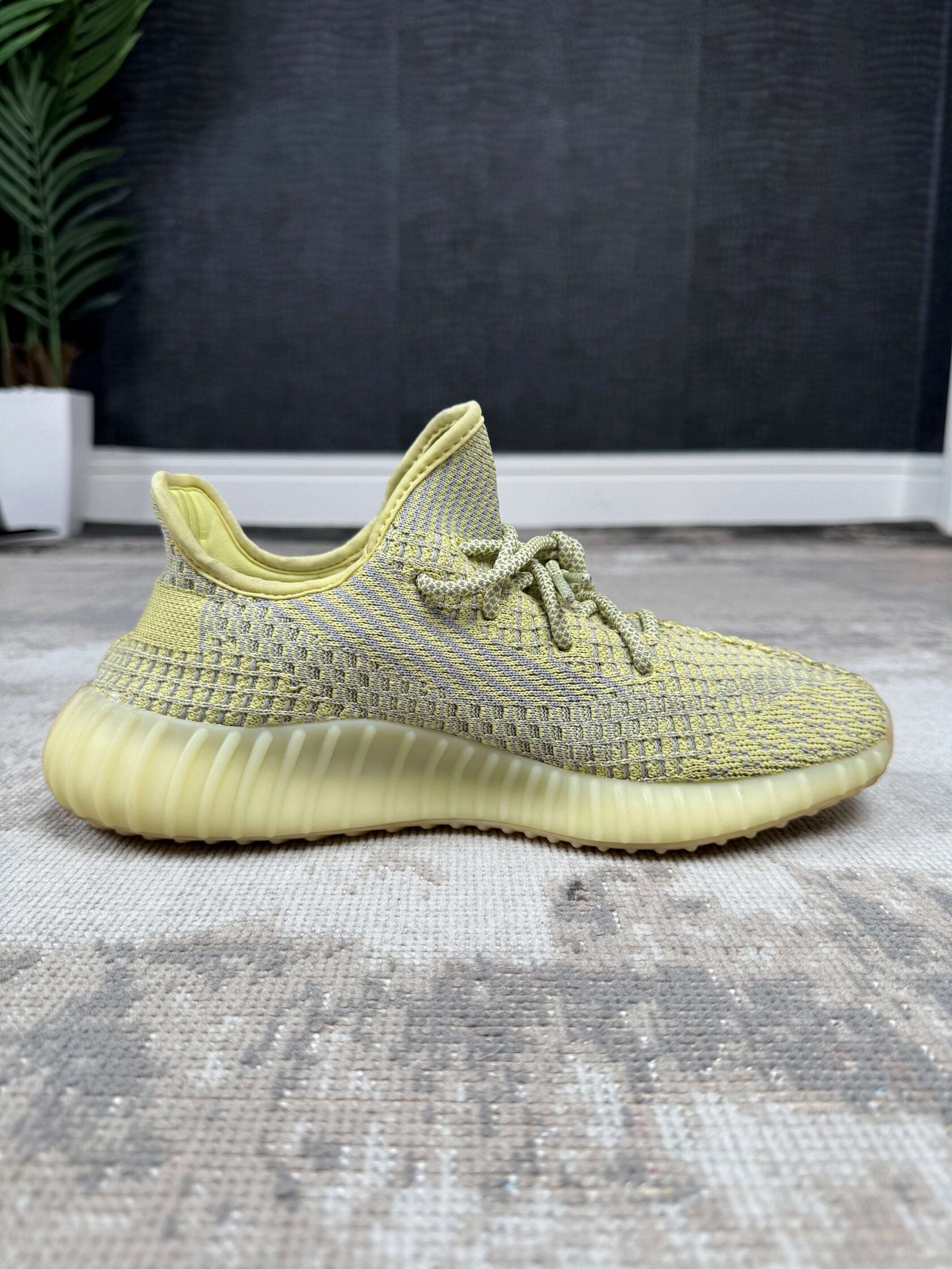 Yeezy 350 V2 Antlia Yeezy