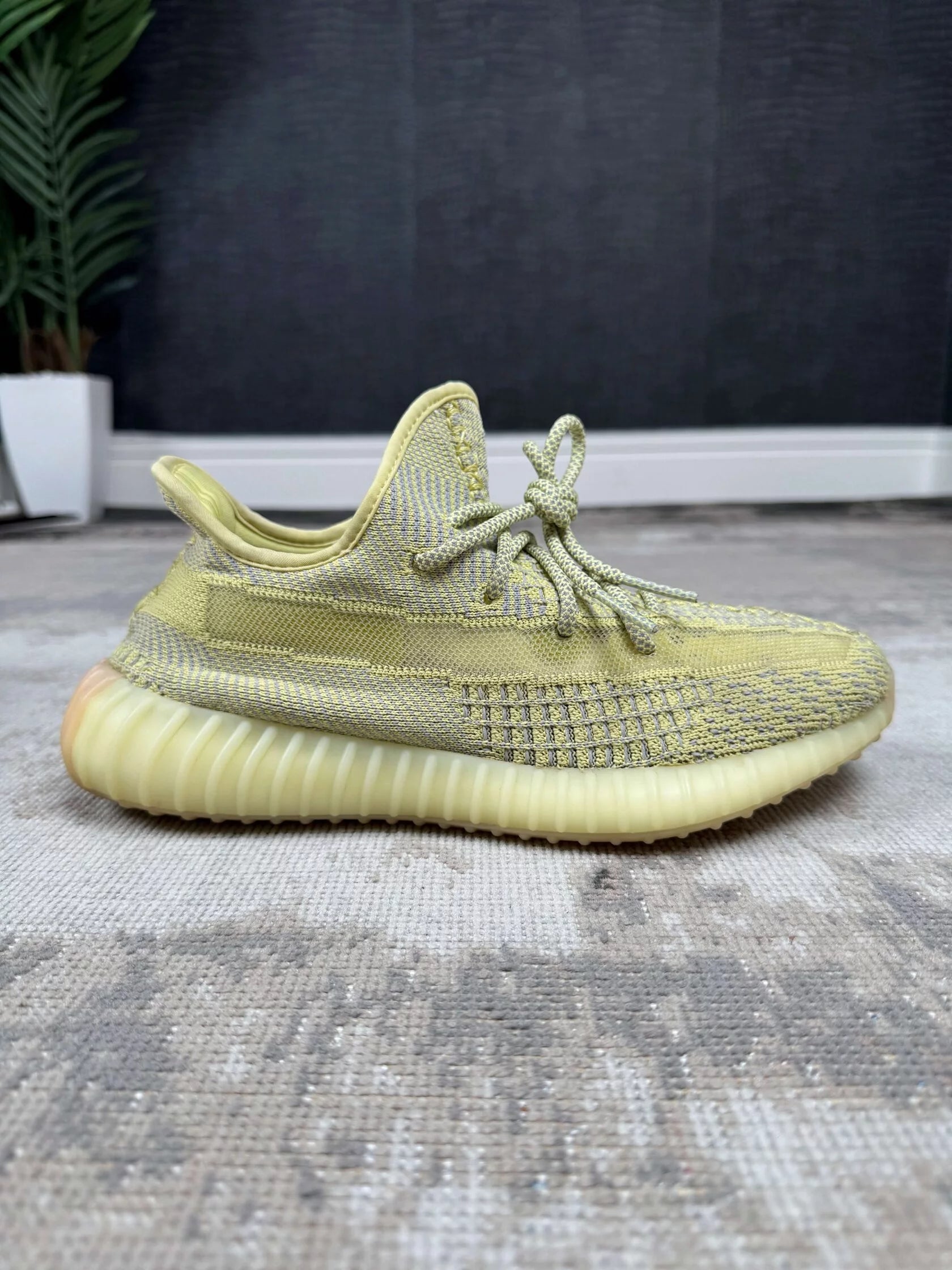 Yeezy 350 V2 Antlia Yeezy