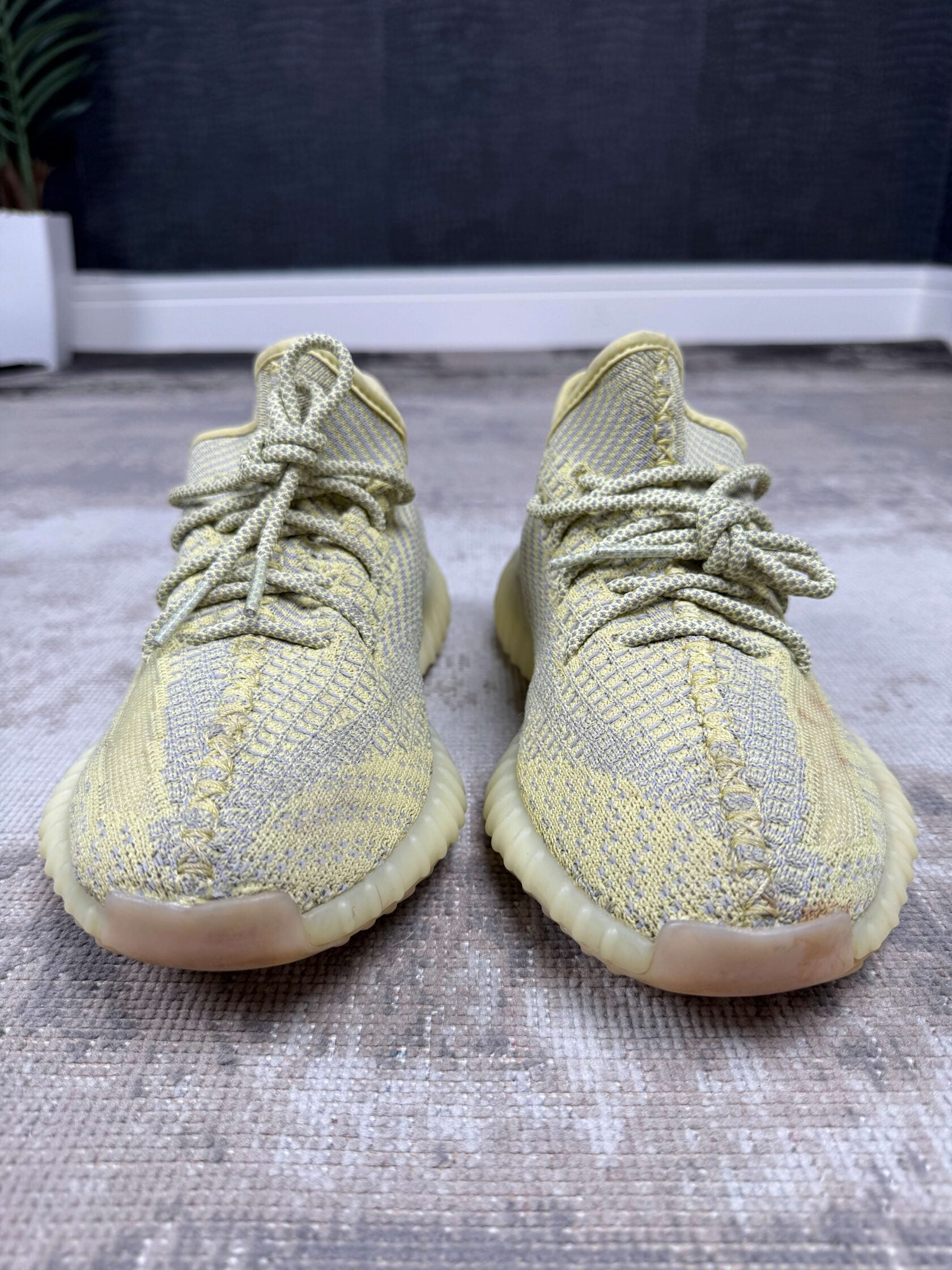 Yeezy 350 V2 Antlia Yeezy