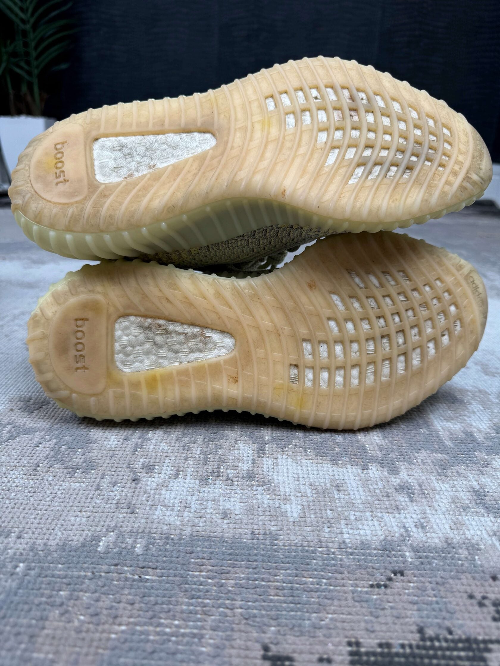 Yeezy 350 V2 Antlia Yeezy