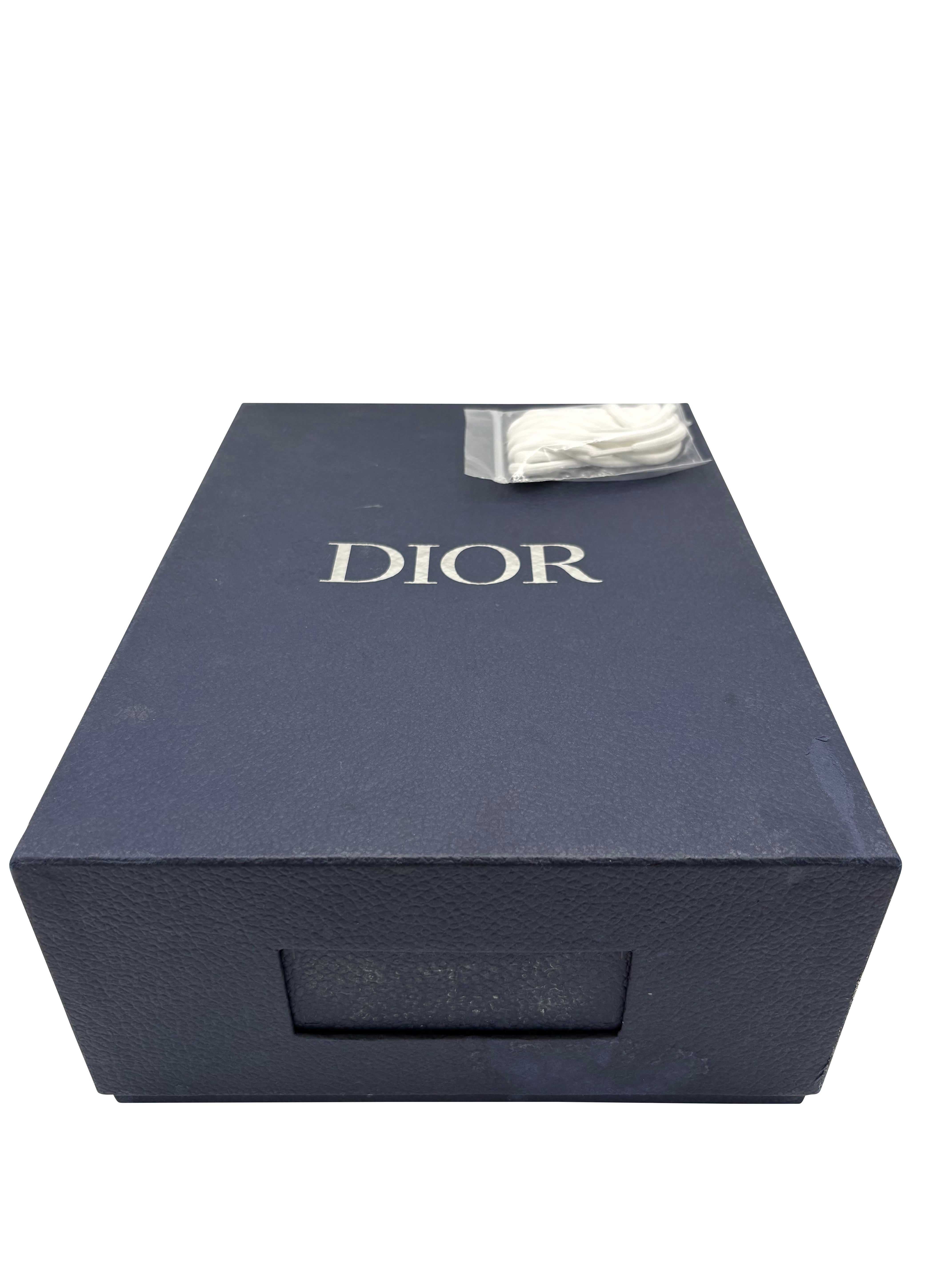 Dior B22 Trainer - White