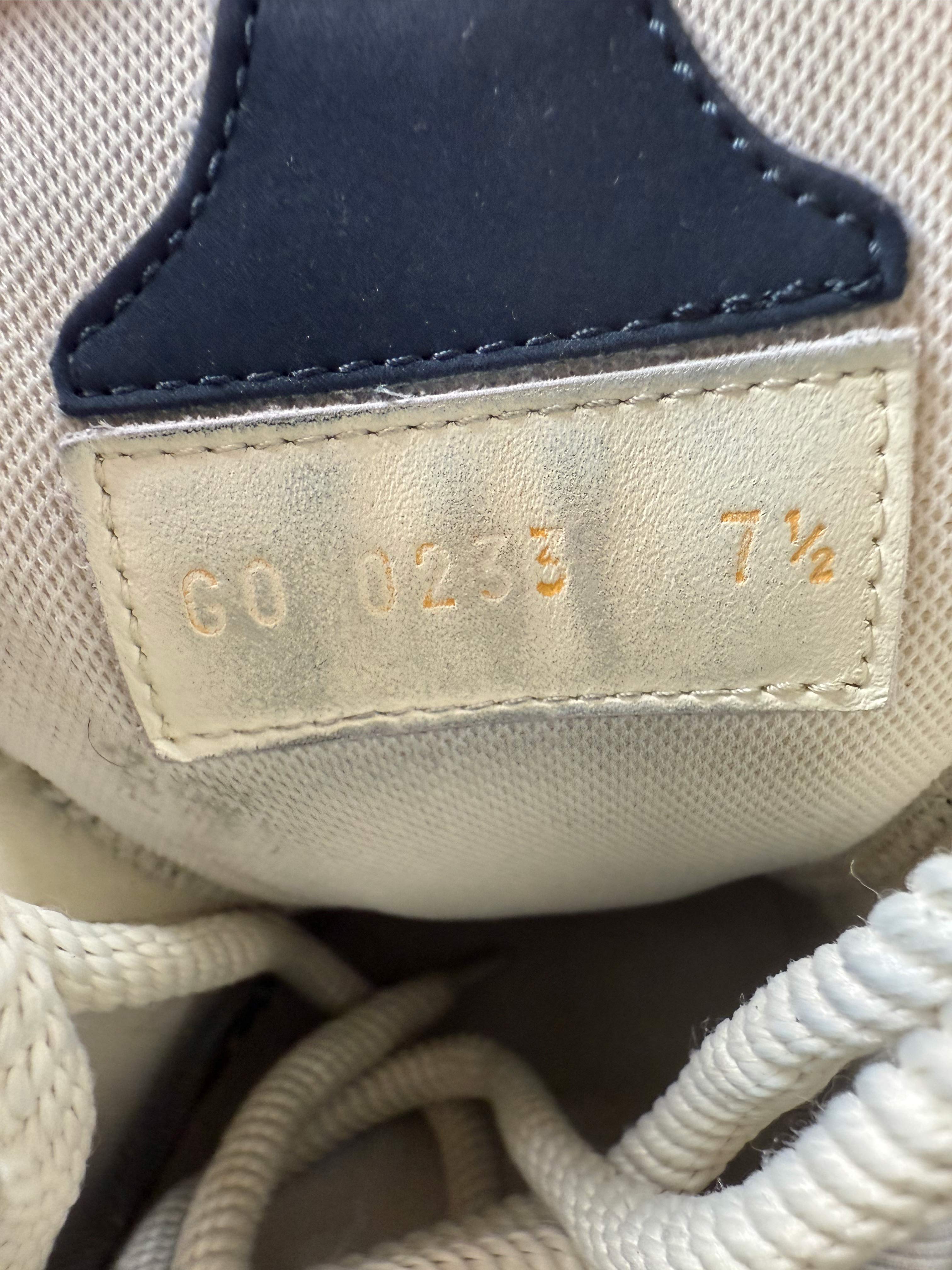 Louis Vuitton LV Skate Trainers - Blue Louis Vuitton