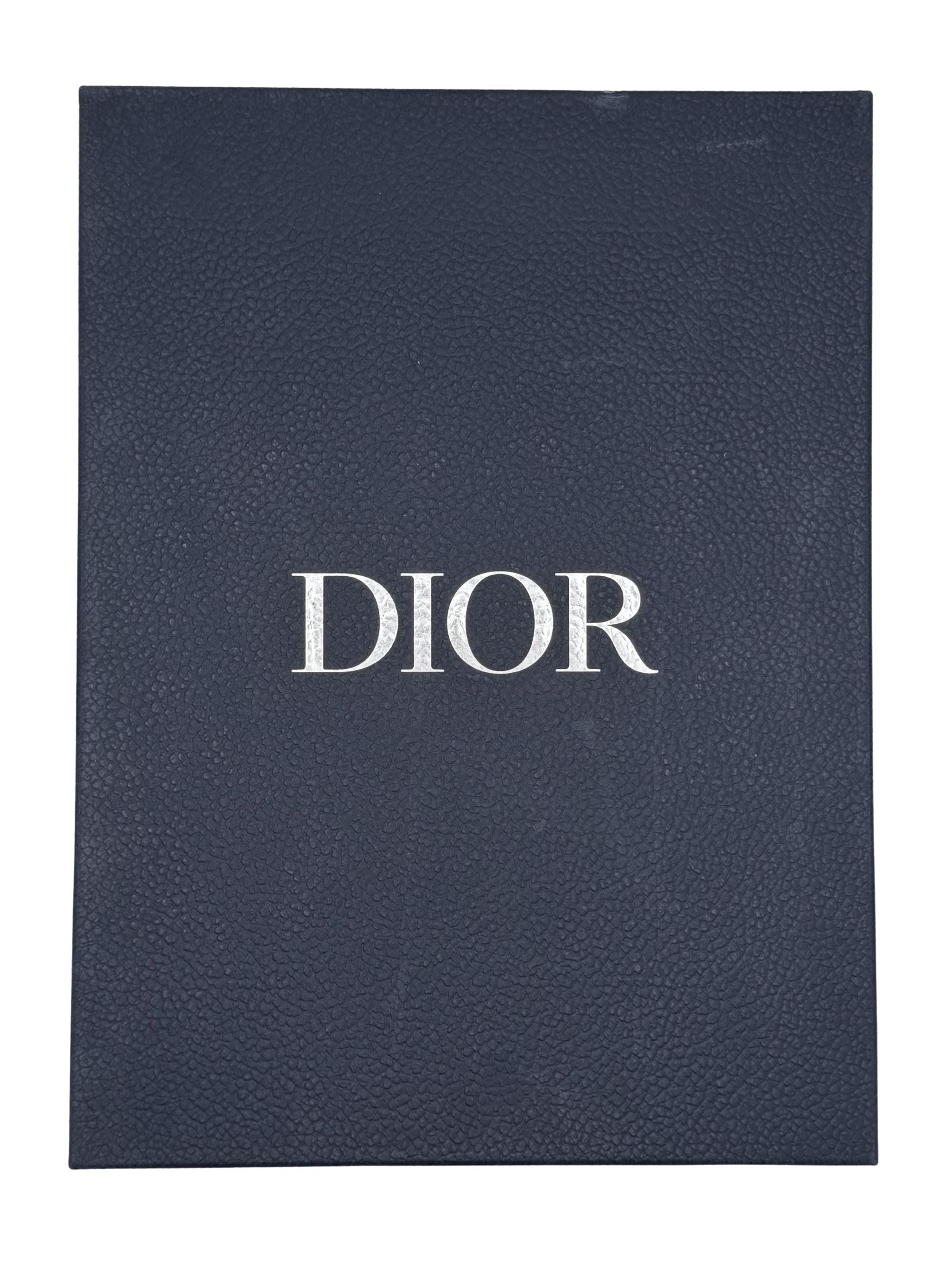 Dior B30 Trainer - Grey Dior