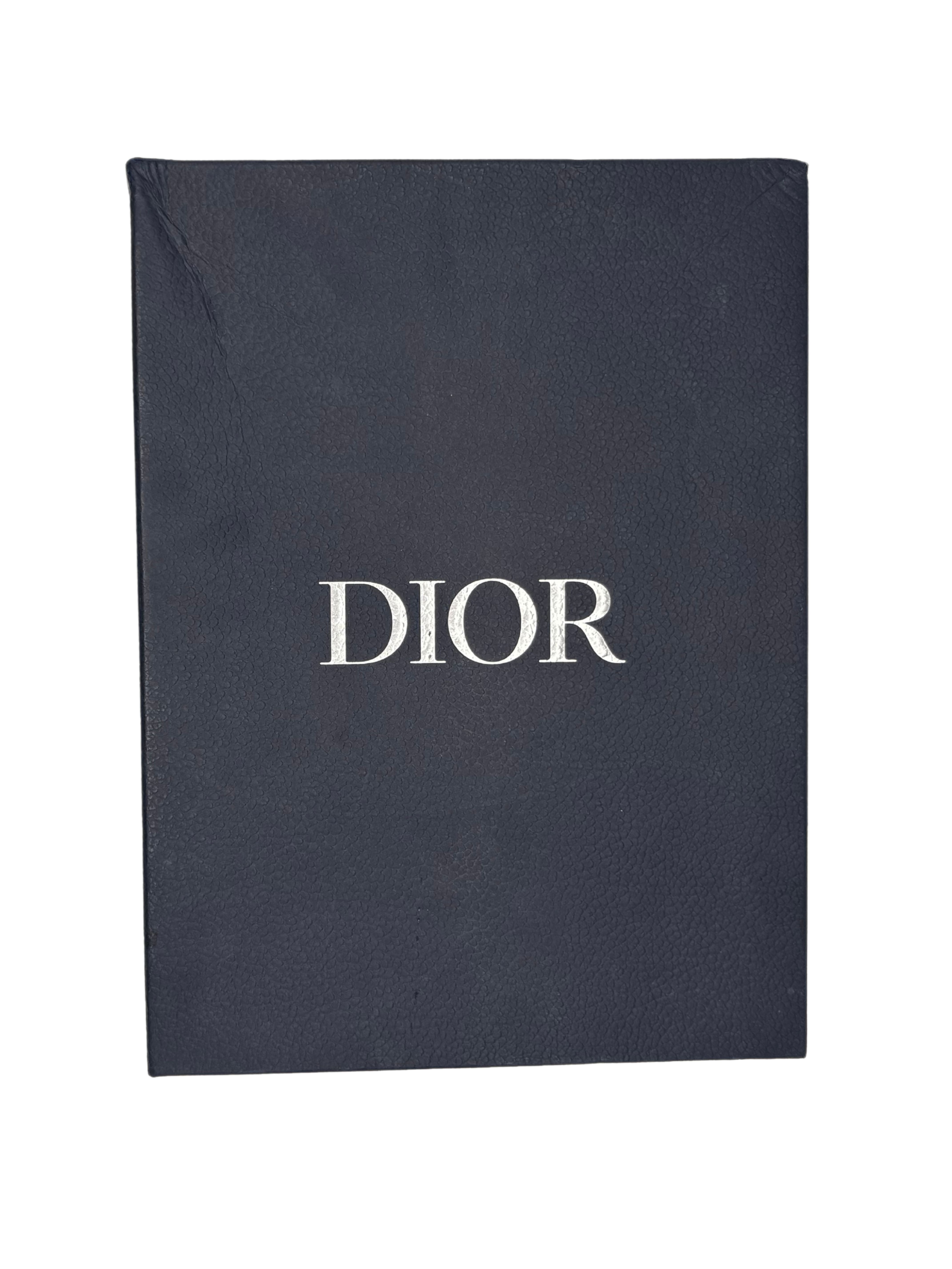 Dior B22 - Green / Blue