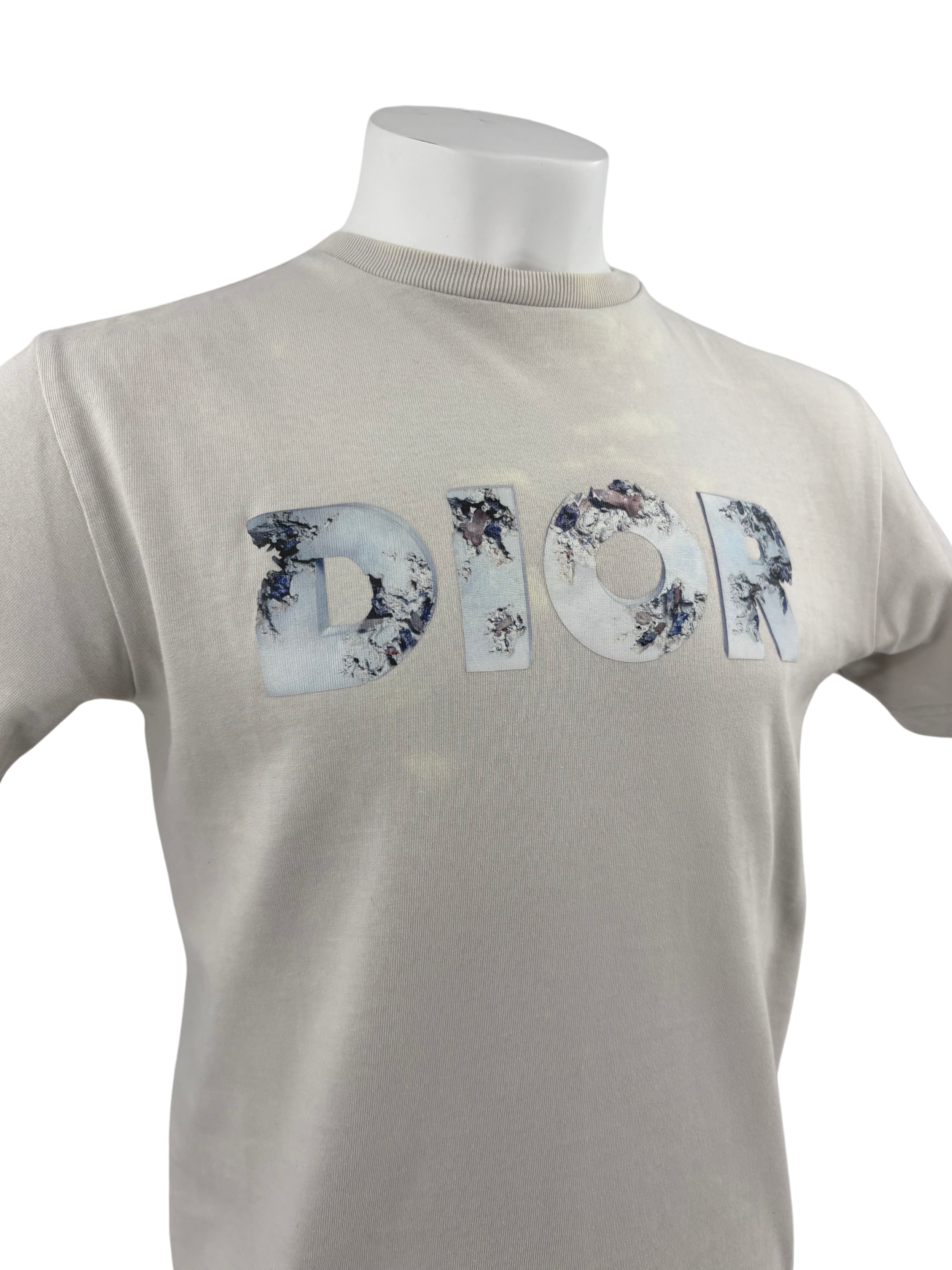 Dior Daniel Arsham T-Shirt - Beige Dior