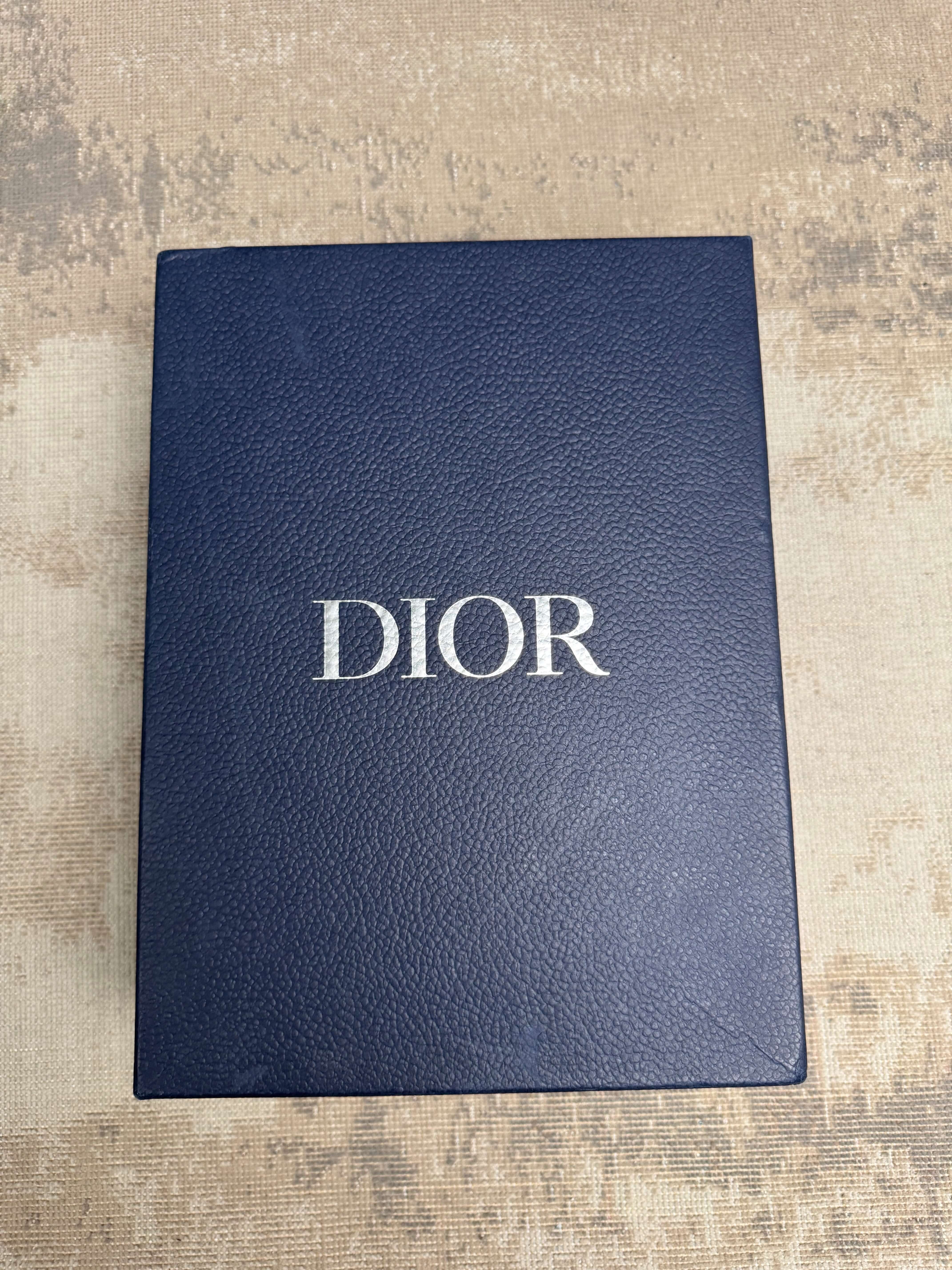 Dior B22 Trainer - Baby Blue Dior