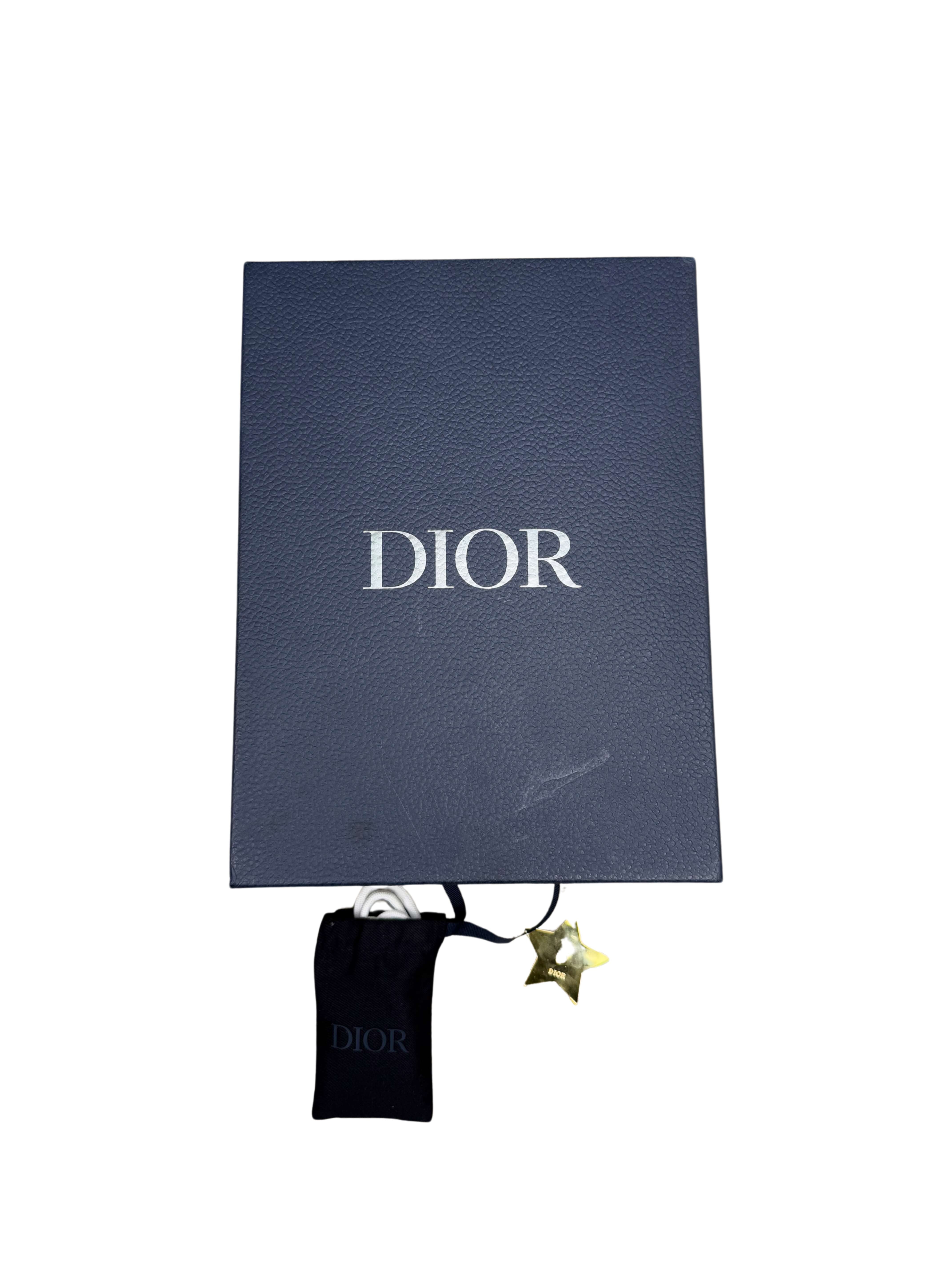 Dior B22 Trainers - Baby Blue