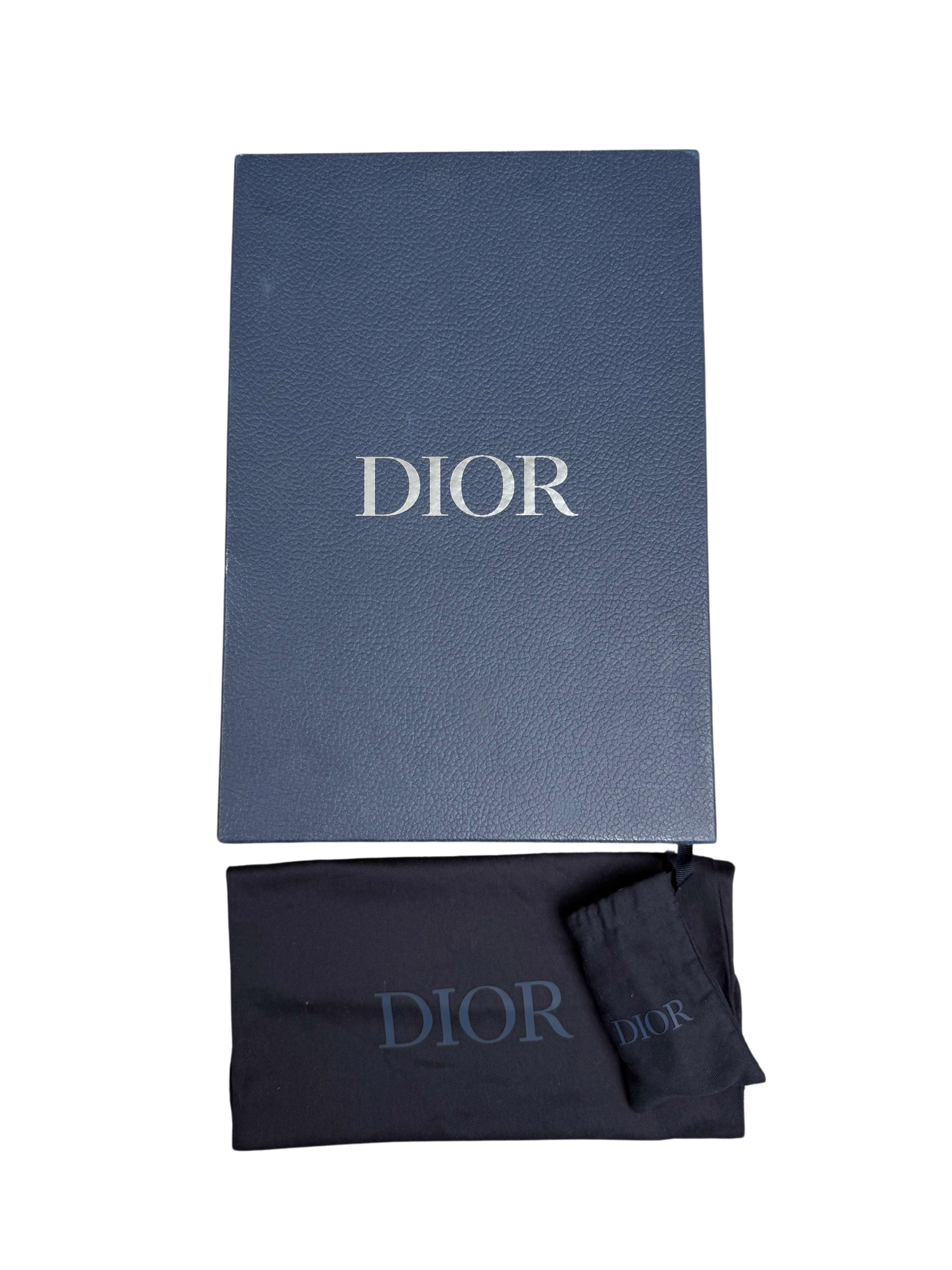 Dior B30 Trainer - Baby Blue Dior