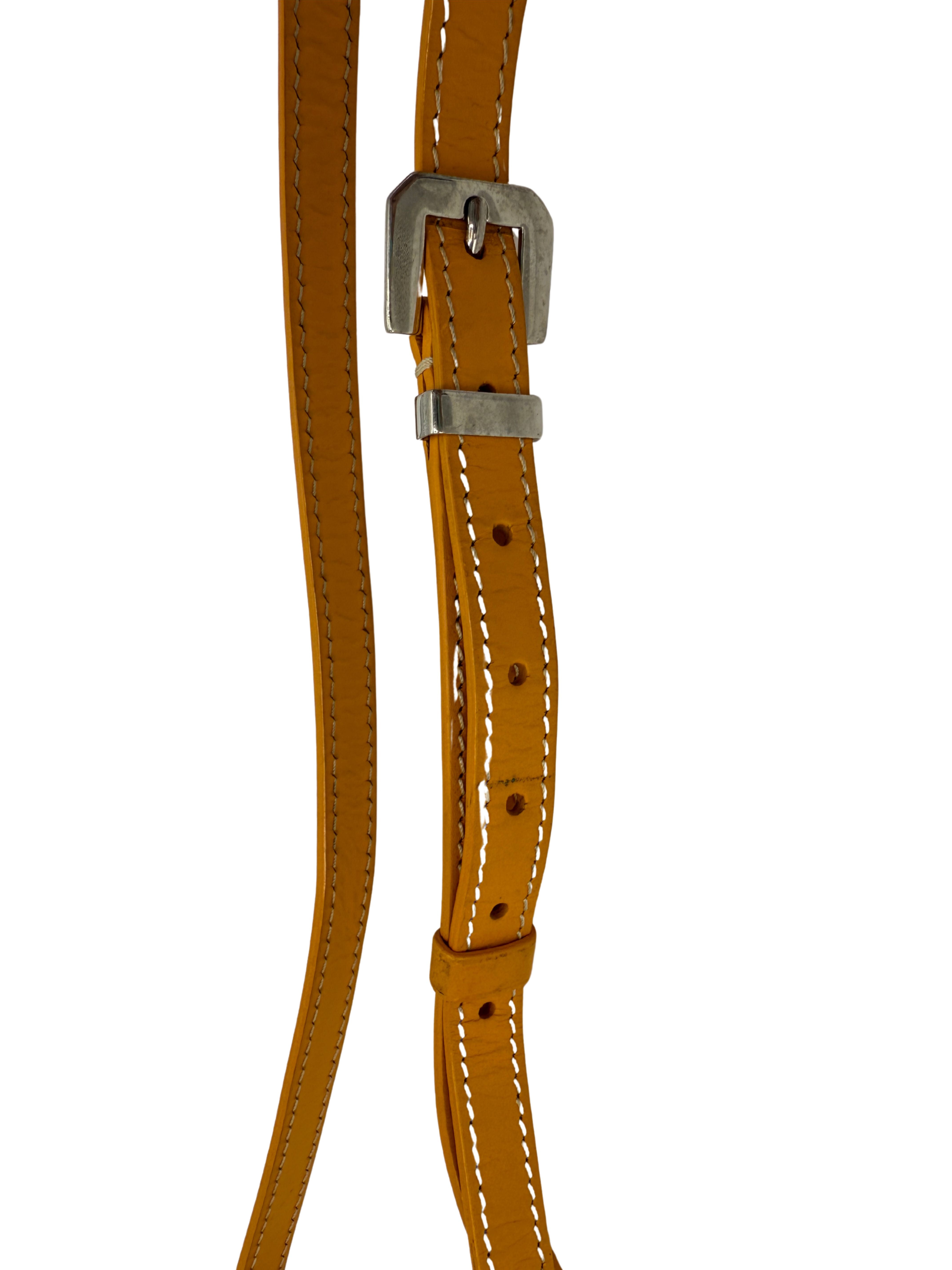 Goyard Belvedere PM Bag - Yellow