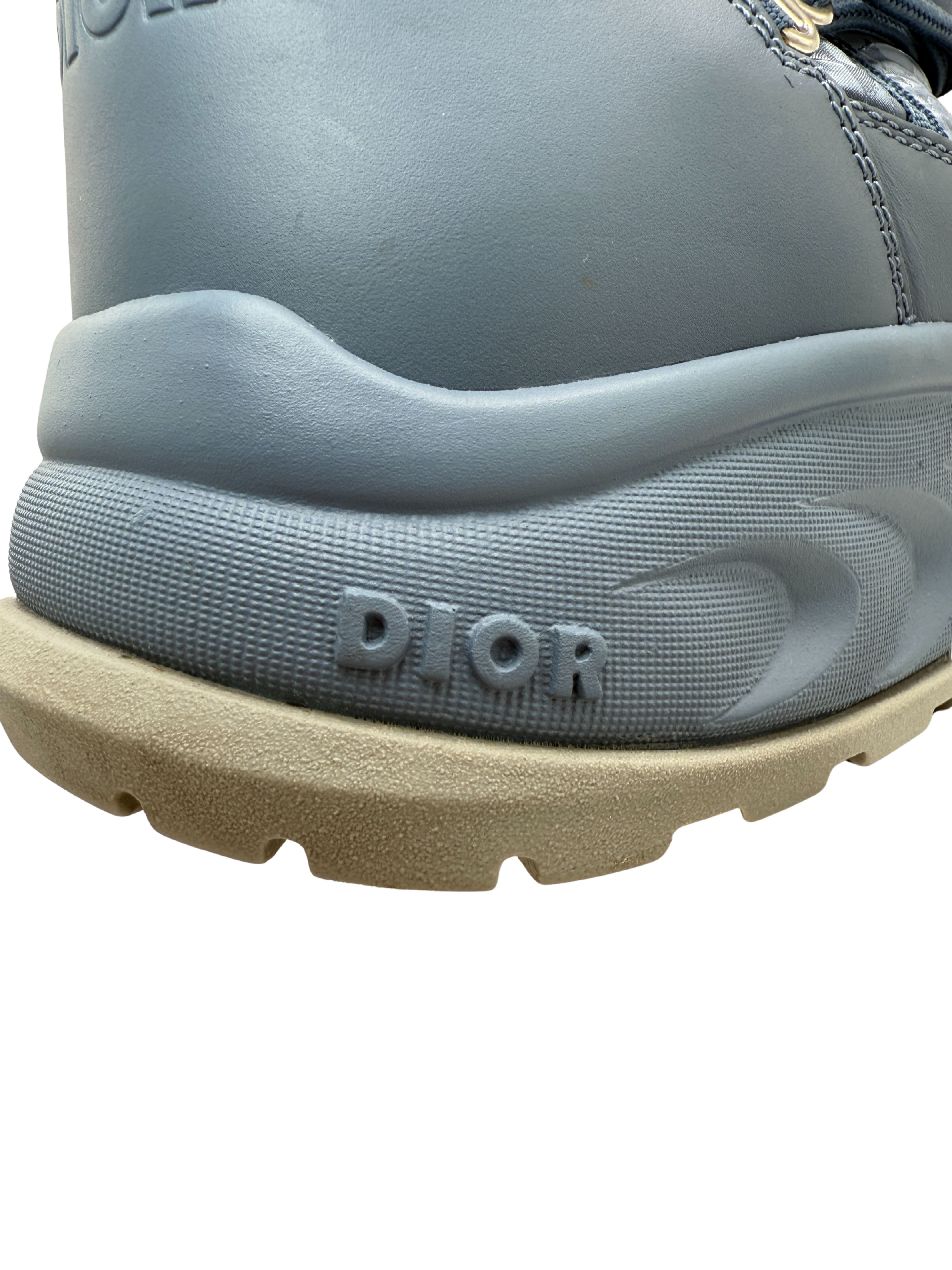 Dior x Peter Doig CD Oblique Snow Boots - Blue