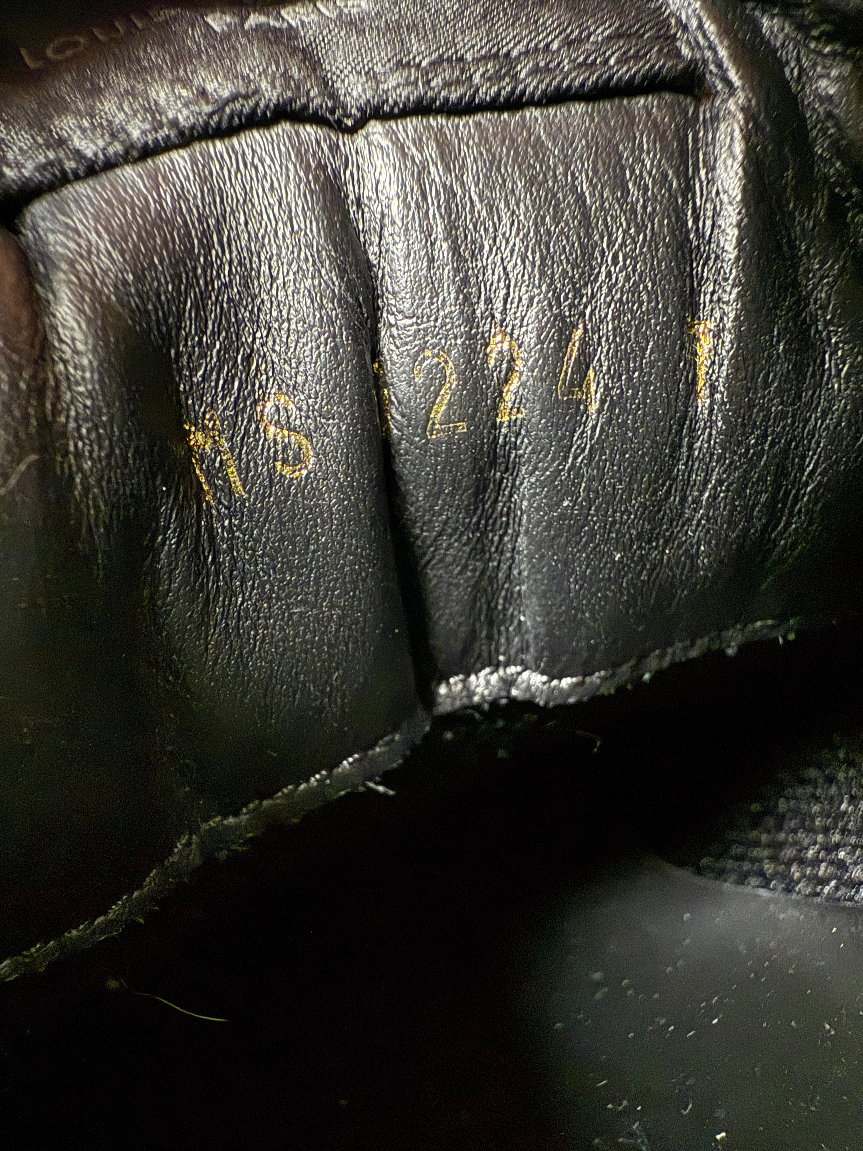 Louis Vuitton Run Away Iridescent Trainers - Black Louis Vuitton