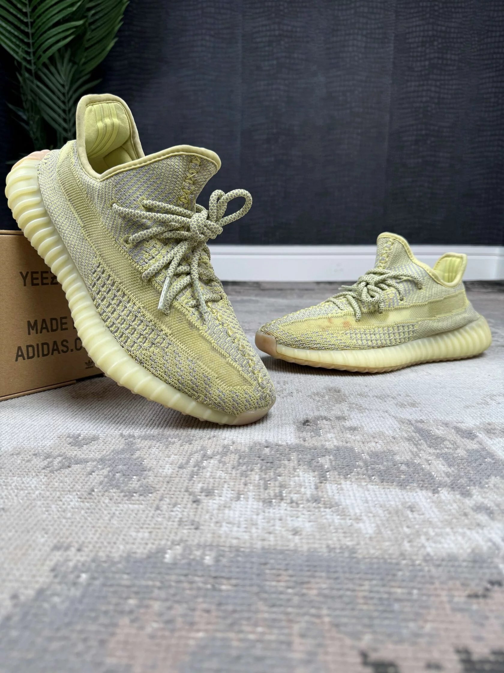 Yeezy 350 V2 Antlia