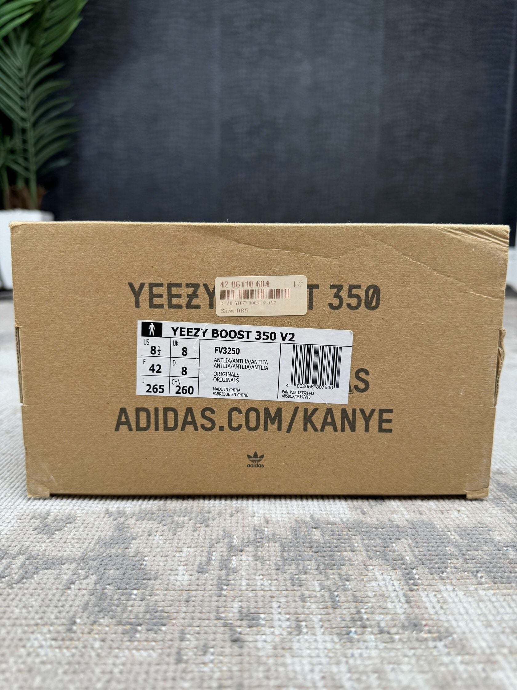 Yeezy 350 V2 Antlia Yeezy