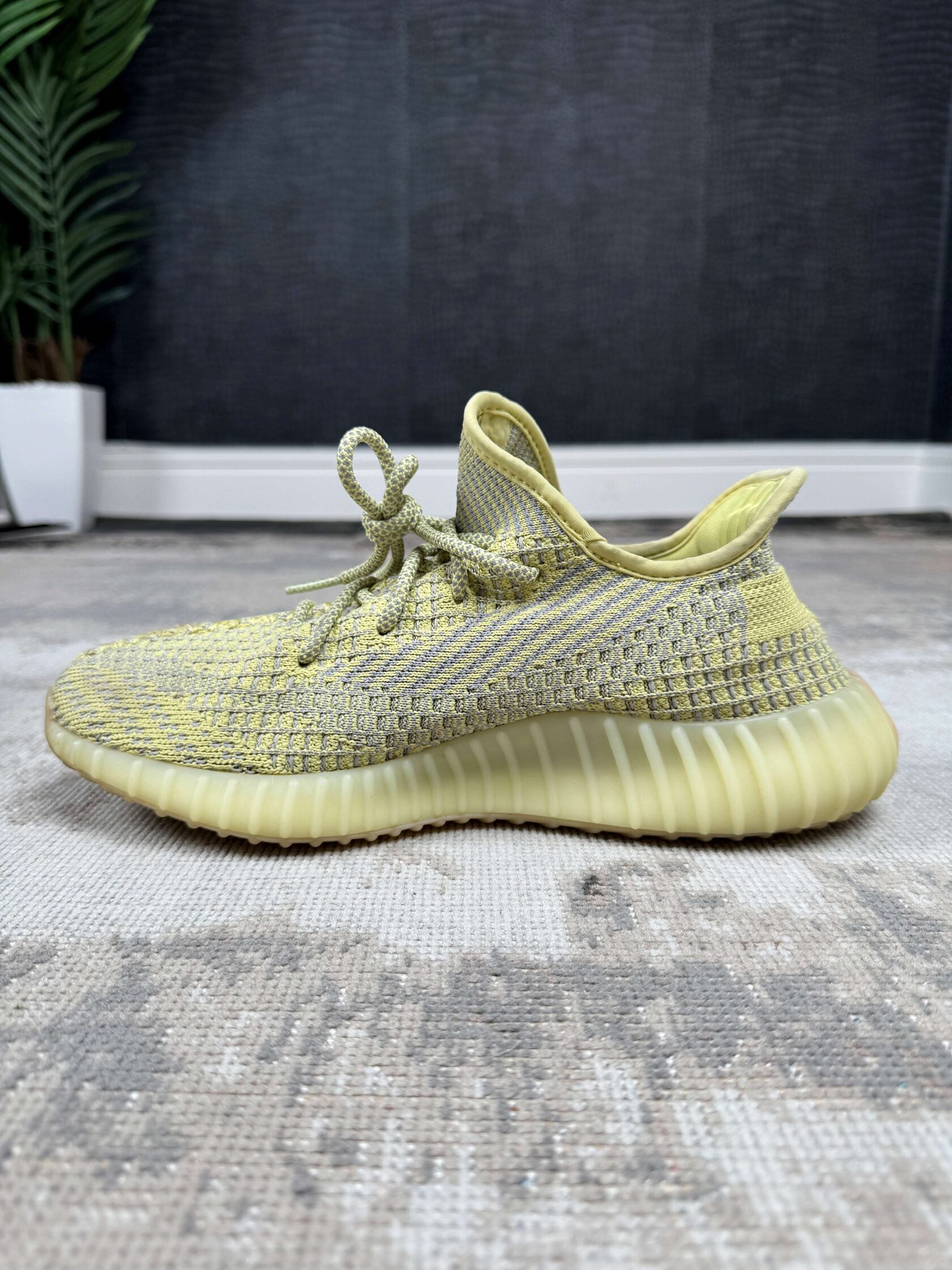Yeezy 350 V2 Antlia Yeezy