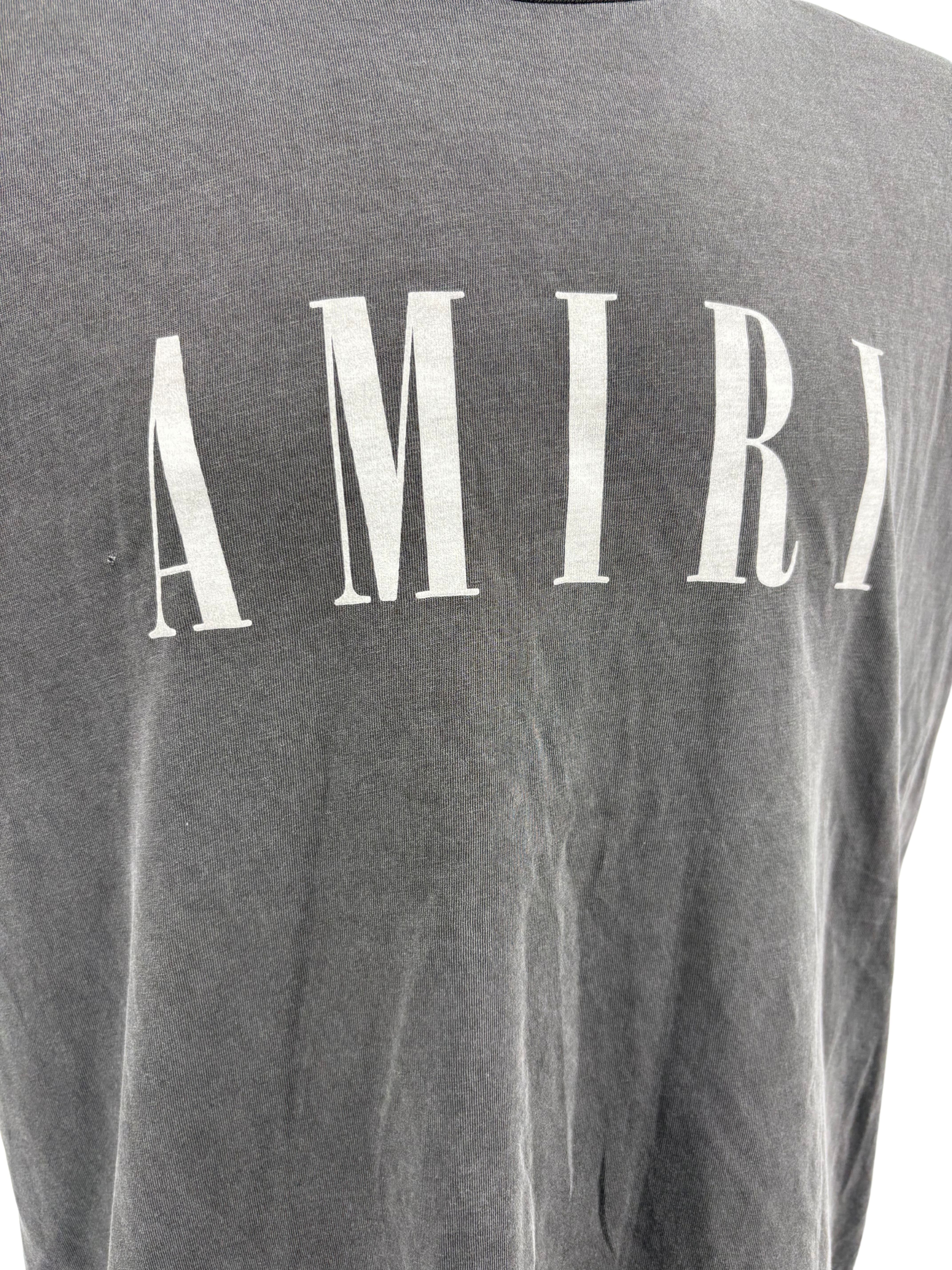 Amiri Core Logo T-Shirt - Grey Amiri