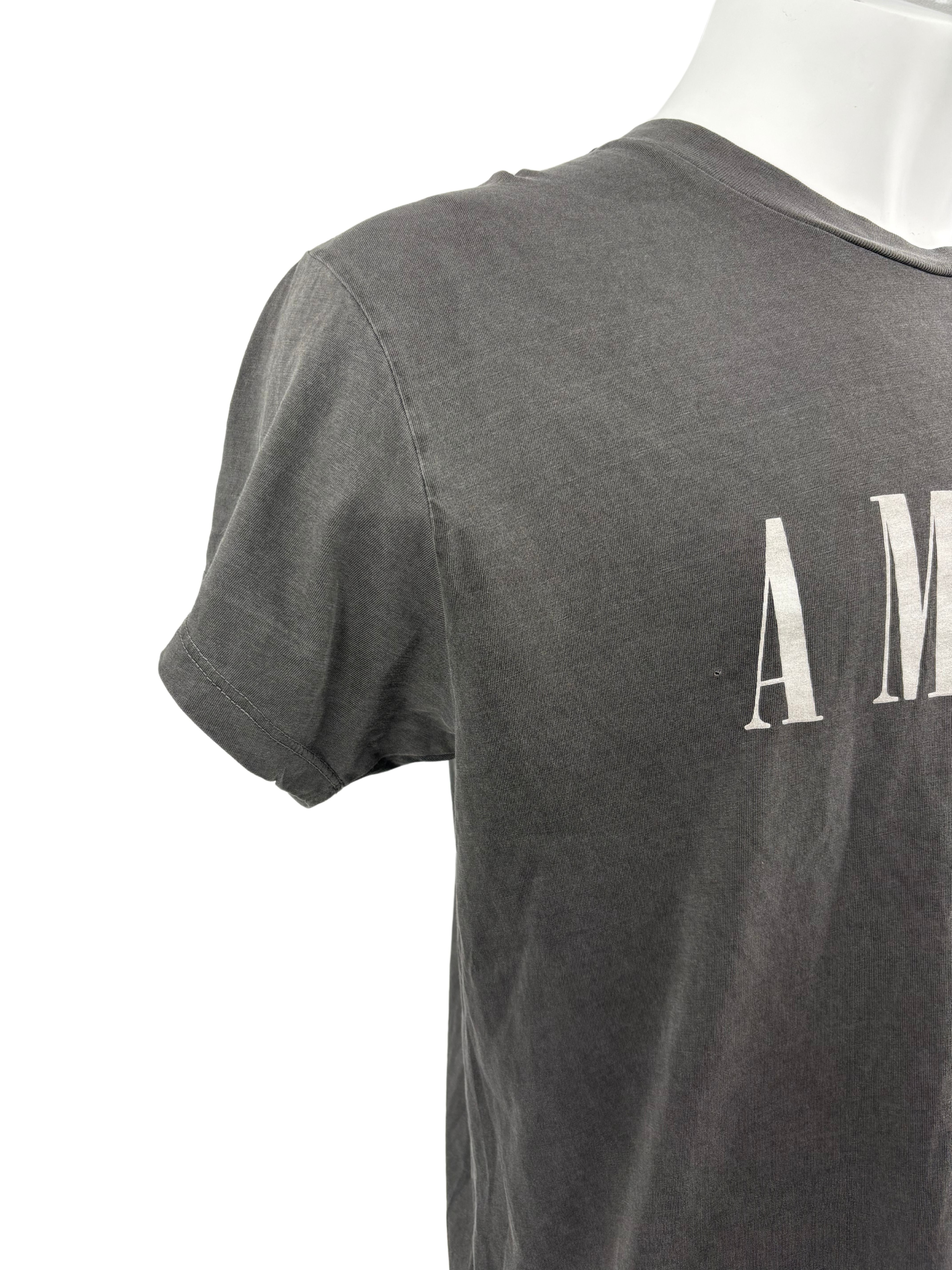 Amiri Core Logo T-Shirt - Grey Amiri
