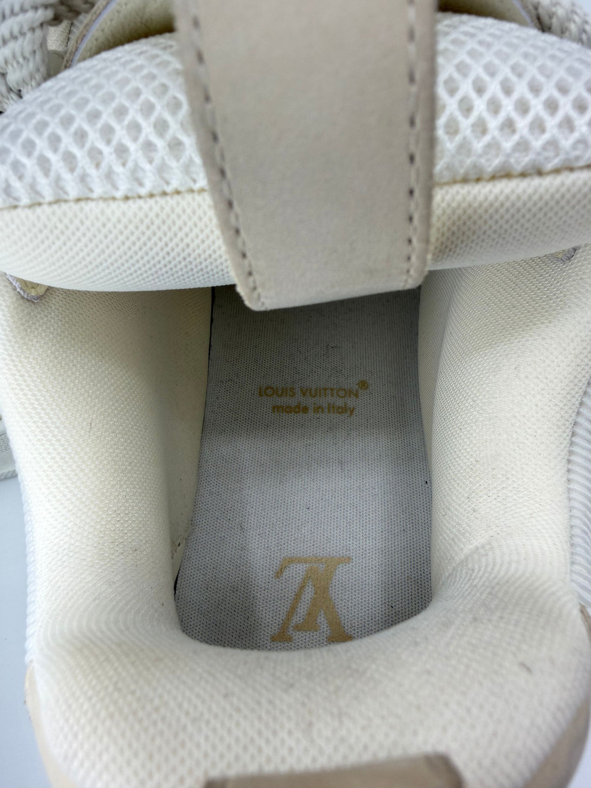 Louis Vuitton LV Skate Sneaker