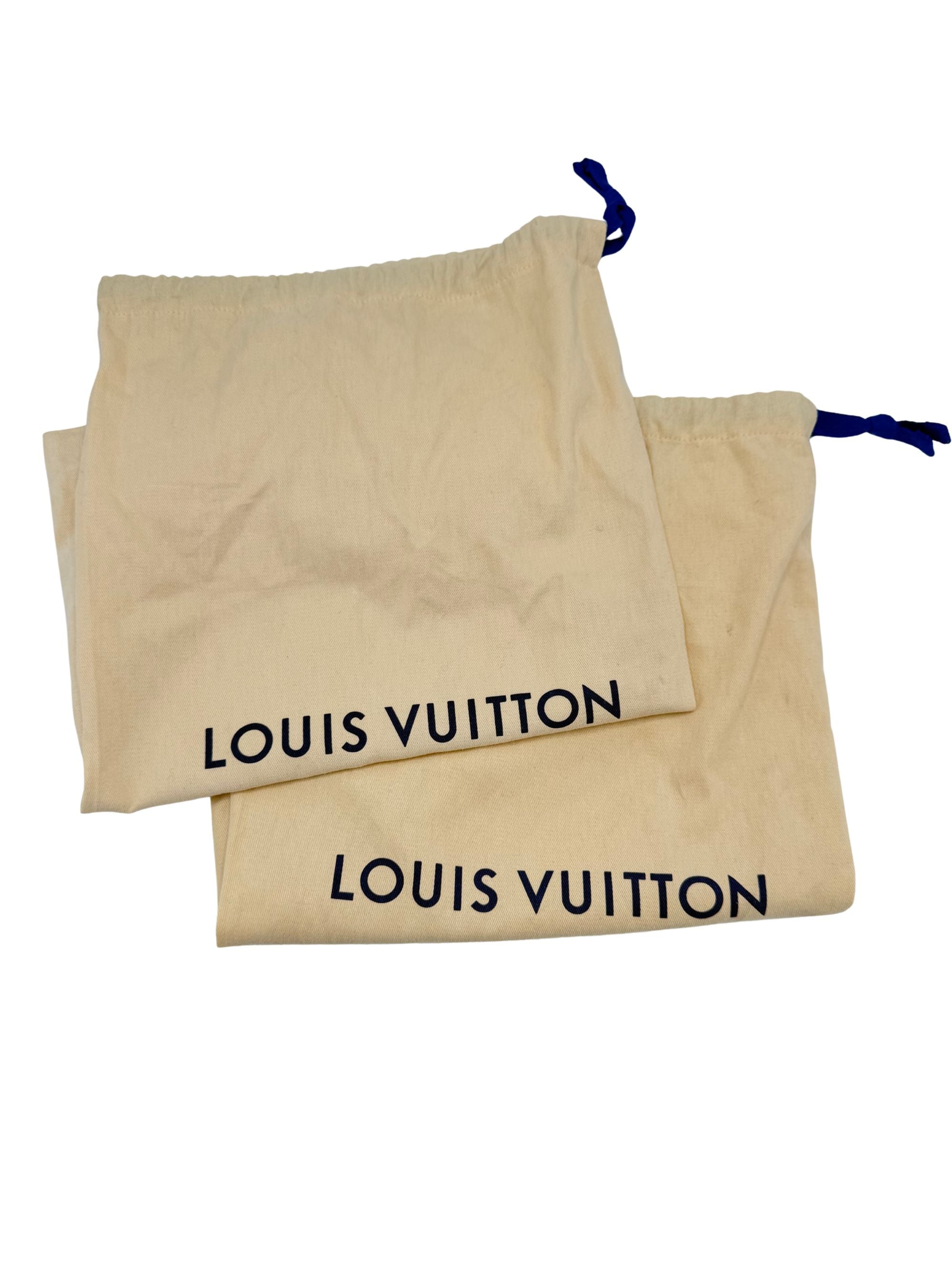 Louis Vuitton LV Skate Sneaker