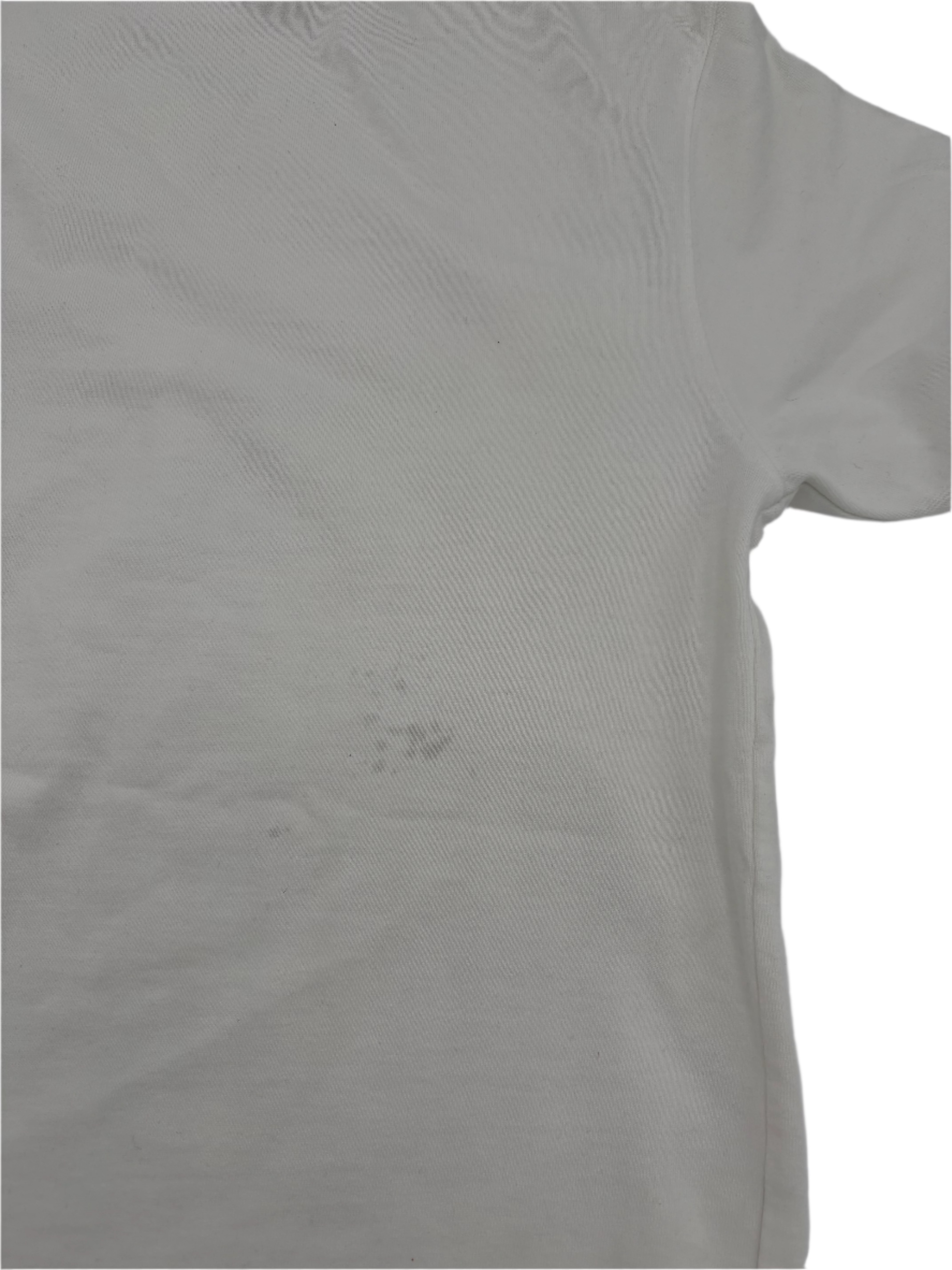 Dior X Shawn Stussy Bee T-Shirt - White Dior