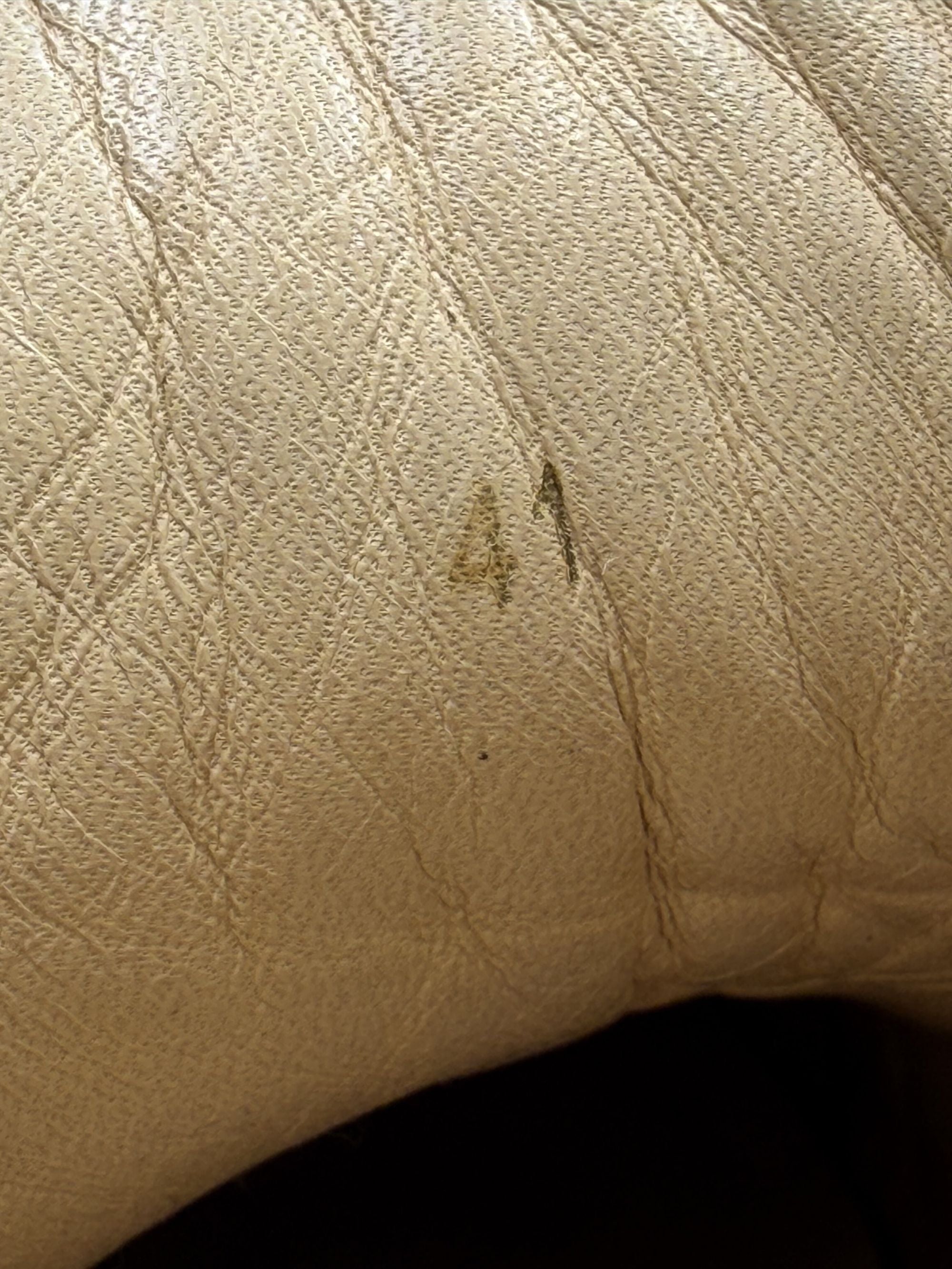 Louboutin Louis Strass High Top Trainer - Black Christian Louboutin