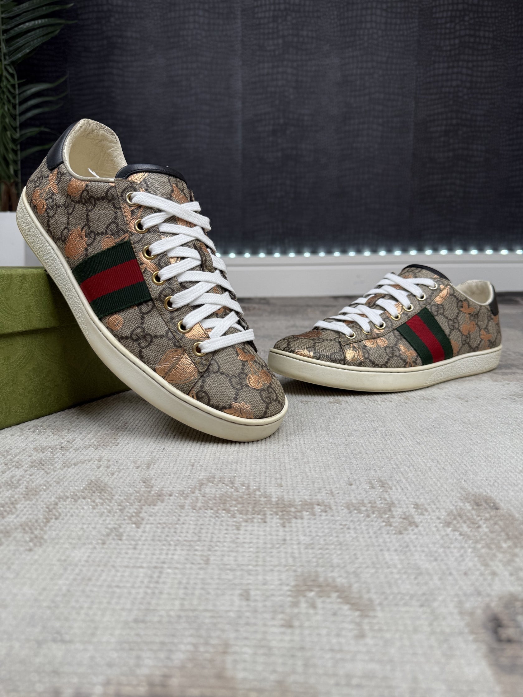 WOMEN'S - Gucci Ace Trainers - Brown Gucci