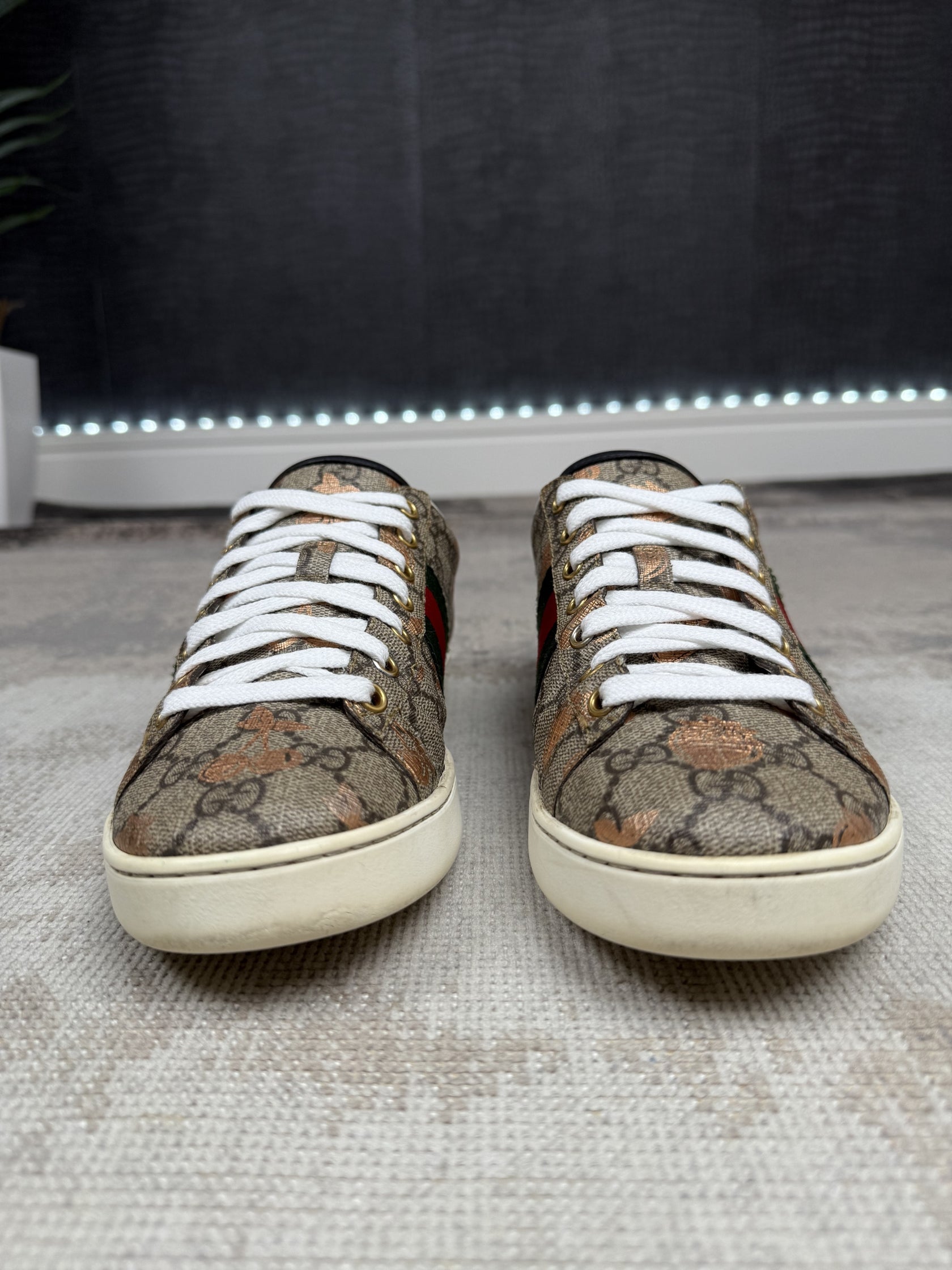 WOMEN'S - Gucci Ace Trainers - Brown Gucci