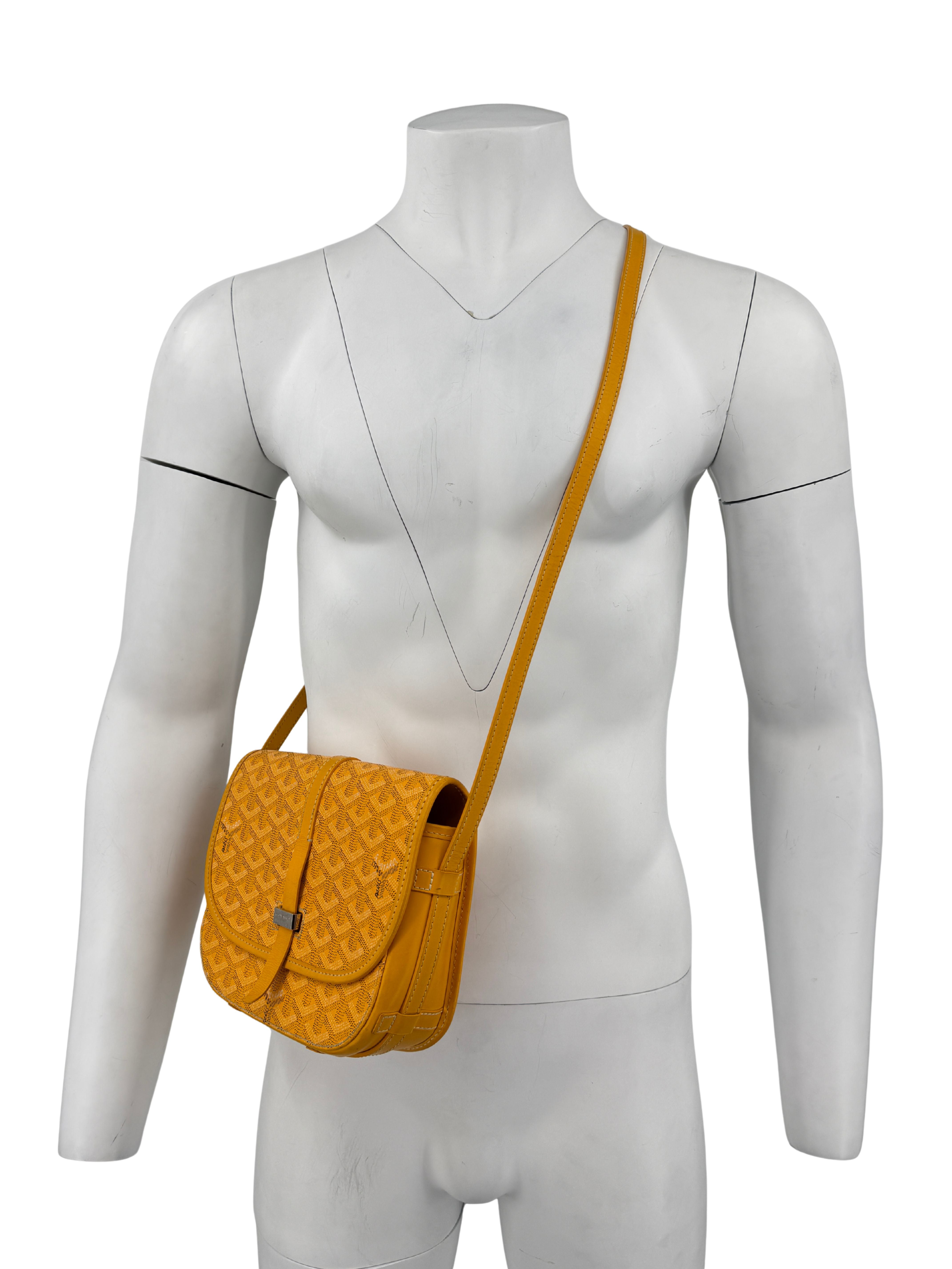 Goyard Belvedere PM Bag - Yellow